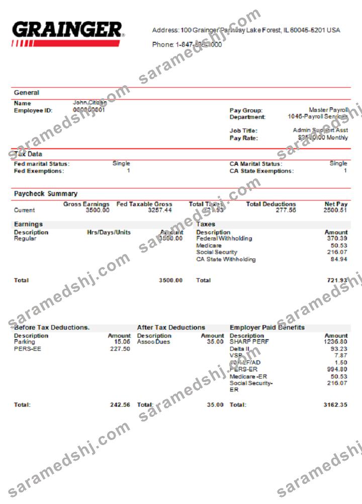 USA Grainger industry company pay stub
